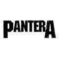 Pantera rock baby kleding